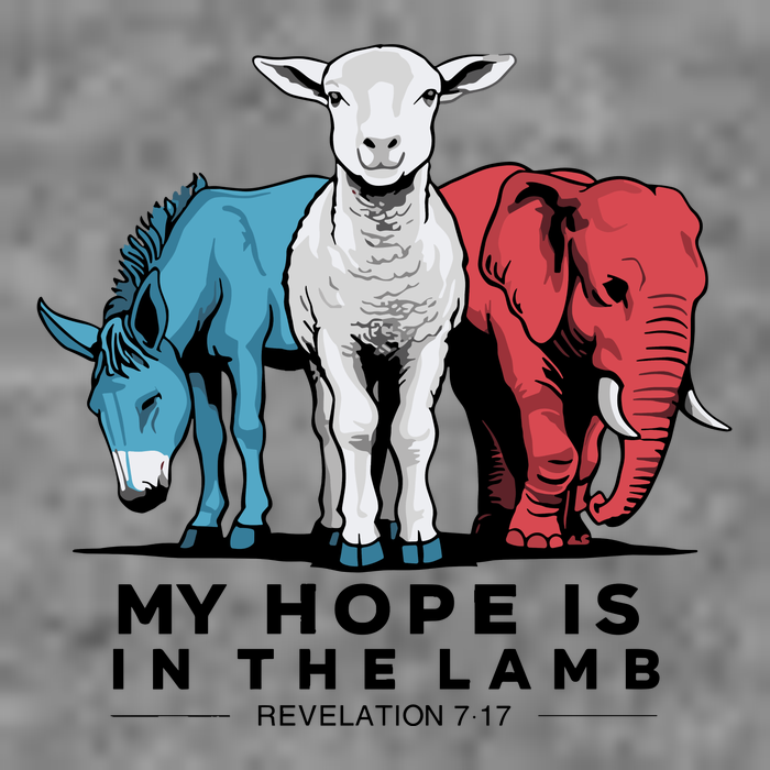 My Hope Is In The Lamb Sustainable Beanie