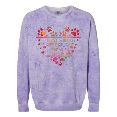 My Heart Is Held By The Paws Of An American Shorthair Cat Colorblast Crewneck Sweatshirt