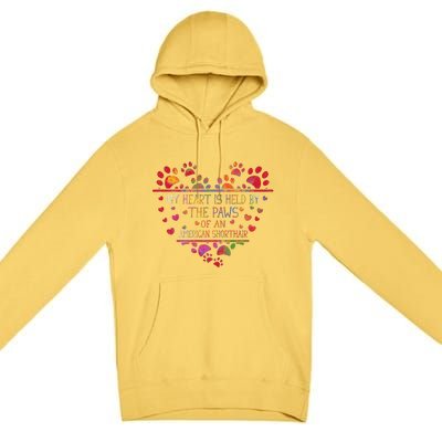 My Heart Is Held By The Paws Of An American Shorthair Cat Premium Pullover Hoodie