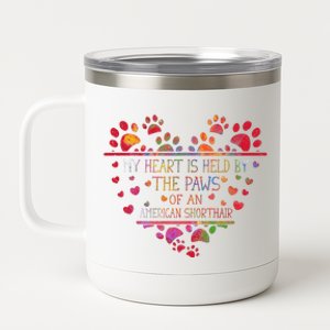 My Heart Is Held By The Paws Of An American Shorthair Cat 12 oz Stainless Steel Tumbler Cup