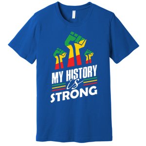 My History Is Strong Melanin Sista Bruh Power Cool Gift Premium T-Shirt