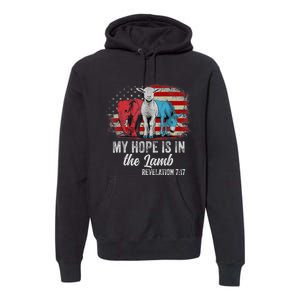 My Hope Is In The Lamb Scripture Elephant Donkey Us Flag Premium Hoodie