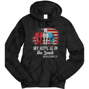 My Hope Is In The Lamb Scripture Elephant Donkey Us Flag Tie Dye Hoodie