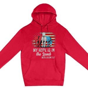 My Hope Is In The Lamb Scripture Elephant Donkey Us Flag Premium Pullover Hoodie