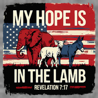 My Hope Is In The Lamb Jesus 2024 Election Toddler Hoodie