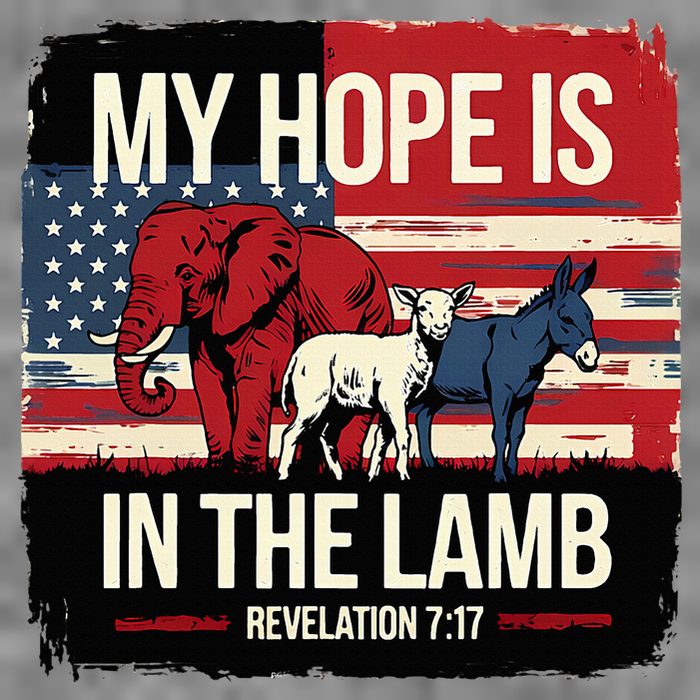 My Hope Is In The Lamb Jesus 2024 Election Toddler Hoodie