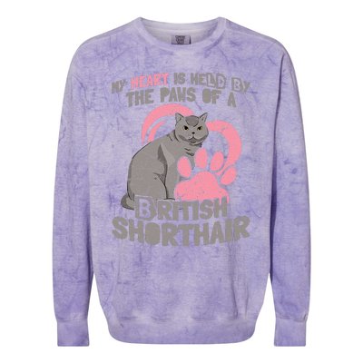 My Heart Is Held By The Paws Of A British Shorthair Cats Colorblast Crewneck Sweatshirt