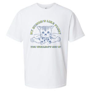 My Humor’S Like Pussy You Wouldn’T Get It Sueded Cloud Jersey T-Shirt