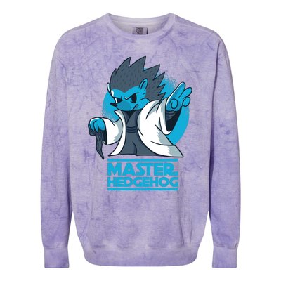 Master Hedgehog Colorblast Crewneck Sweatshirt