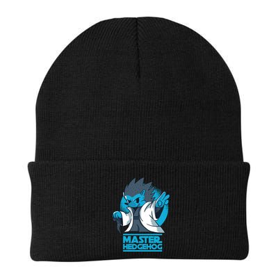 Master Hedgehog Beanie