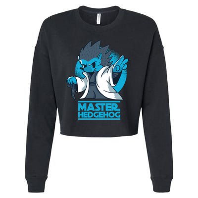 Master Hedgehog Cropped Pullover Crew