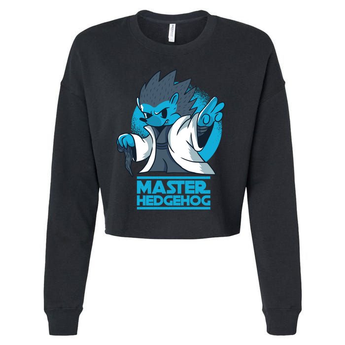 Master Hedgehog Cropped Pullover Crew