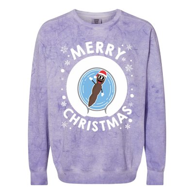 Mr Hankey Merry Christmas Colorblast Crewneck Sweatshirt