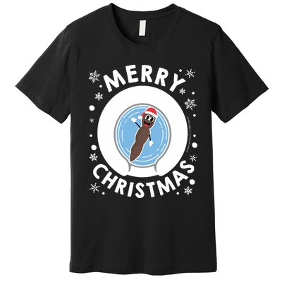 Mr Hankey Merry Christmas Premium T-Shirt