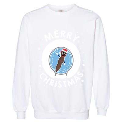 Mr Hankey Merry Christmas Garment-Dyed Sweatshirt