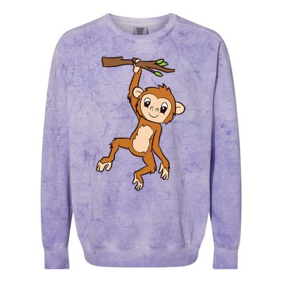 Monkey Hanging On Branch Ape Cute Monkey Colorblast Crewneck Sweatshirt