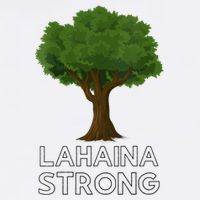 Maui Hawaii Strong Maui Wildfire Lahaina Survivor Wool Snapback Cap