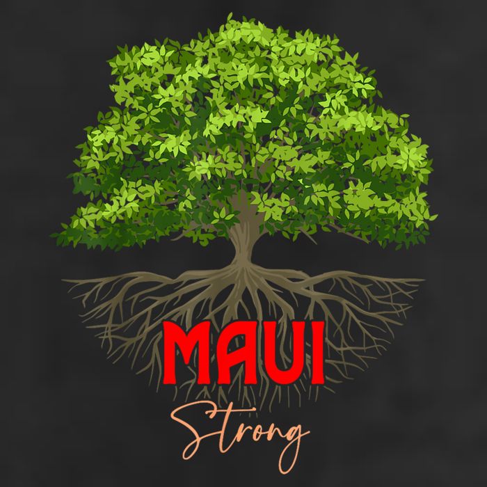Maui Hawaii Strong Cool Comfort Performance Bucket Hat