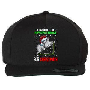 Math Hippopotamus Saying I Want A Hippopotenuse Gift Wool Snapback Cap