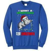 Math Hippopotamus Saying I Want A Hippopotenuse Gift Sweatshirt