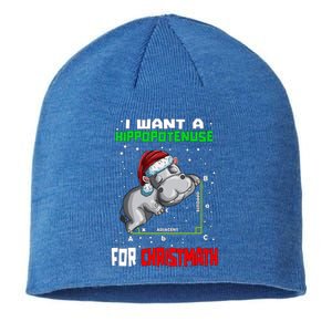 Math Hippopotamus Saying I Want A Hippopotenuse Gift Sustainable Beanie