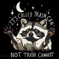 Meme Humor Trash Panda Quirky Unhinged Toddler Sweatshirt