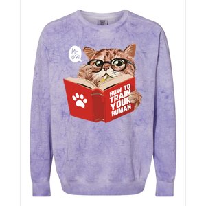 Meow How To Train Your Human Funny Cat Colorblast Crewneck Sweatshirt