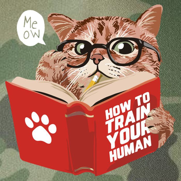 Meow How To Train Your Human Funny Cat Legacy Tie Dye Trucker Hat