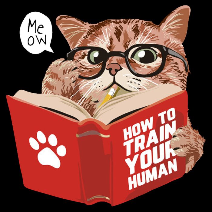 Meow How To Train Your Human Funny Cat Apron