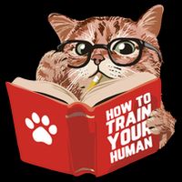 Meow How To Train Your Human Funny Cat Mug