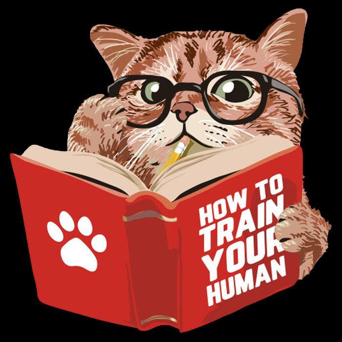 Meow How To Train Your Human Funny Cat Mug