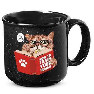 Meow How To Train Your Human Funny Cat 15oz Campfire Ceramic Mug