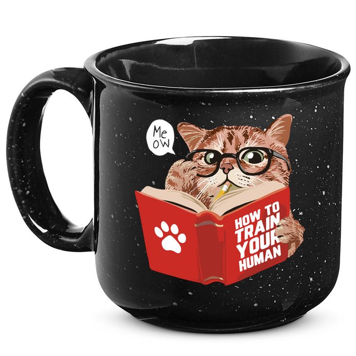 Meow How To Train Your Human Funny Cat 15oz Campfire Ceramic Mug