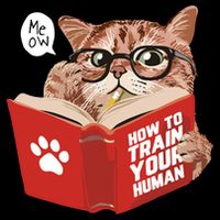 Meow How To Train Your Human Funny Cat Bag