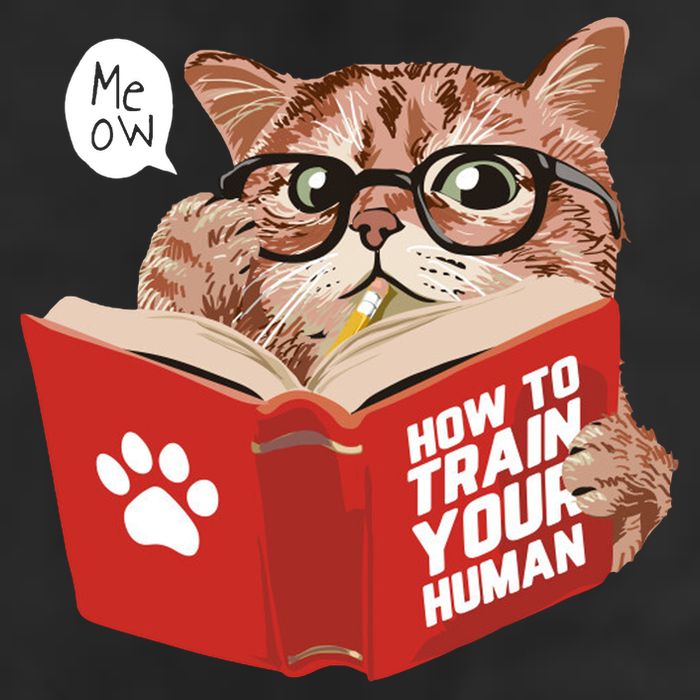 Meow How To Train Your Human Funny Cat Tumbler