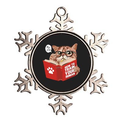 Meow How To Train Your Human Funny Cat Metallic Star Ornament