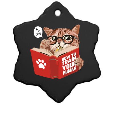 Meow How To Train Your Human Funny Cat Ceramic Star Ornament