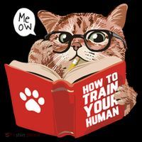 Meow How To Train Your Human Funny Cat Poster