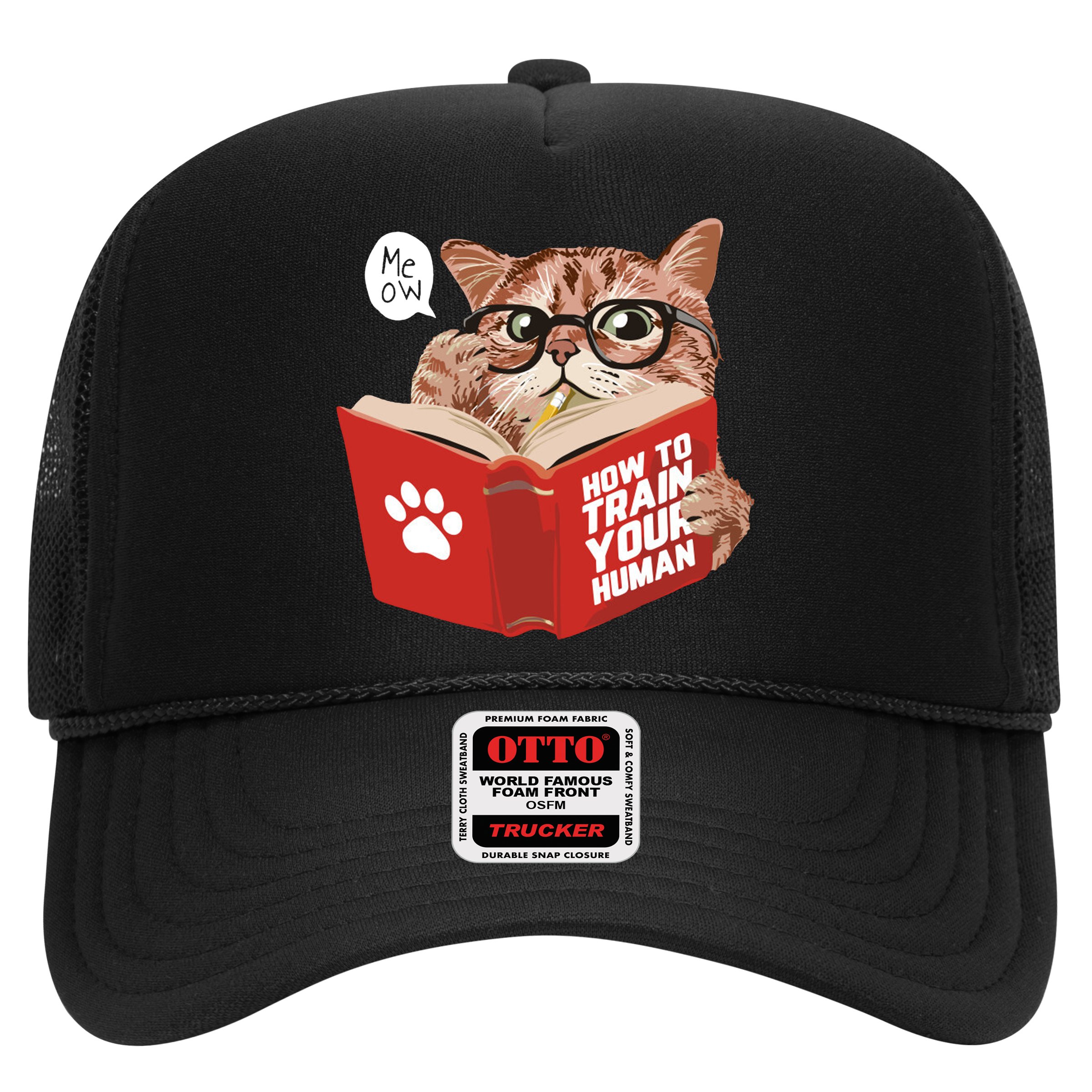 Meow How To Train Your Human Funny Cat Hat