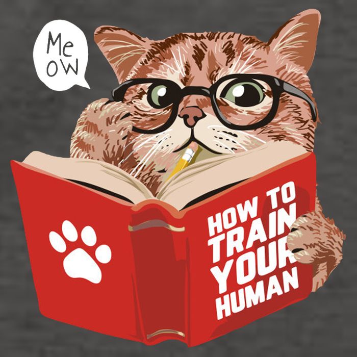 Meow How To Train Your Human Funny Cat Vector Backpack