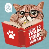 Meow How To Train Your Human Funny Cat Sueded Cloud Jersey T-Shirt