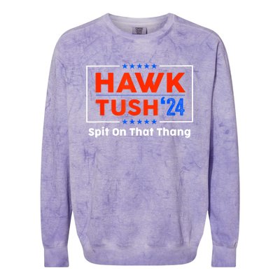 Meme Hawk Tush Spit On That Thing Presidential Candidate Parody Gift Colorblast Crewneck Sweatshirt