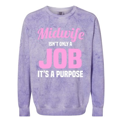 Midwife Healthcare Worker Labour Birth Job Purpose Gift Colorblast Crewneck Sweatshirt