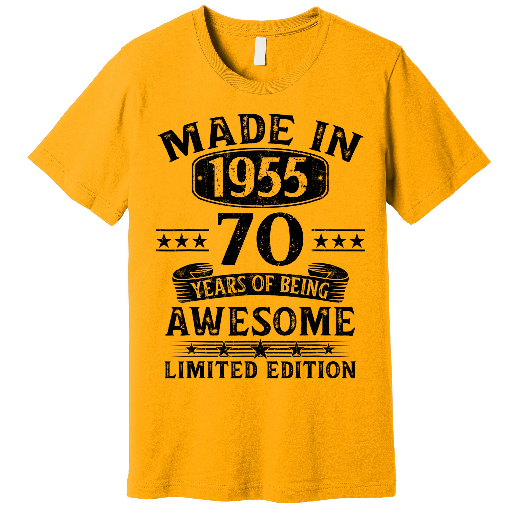 Made In 1955 70 Years Old Gifts 70th Birthday Gift Premium T-Shirt