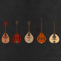 Mandolins In A Row Music Instrument Set Garment-Dyed Fleece Hoodie