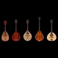Mandolins In A Row Music Instrument Set 16 in Basic Backpack