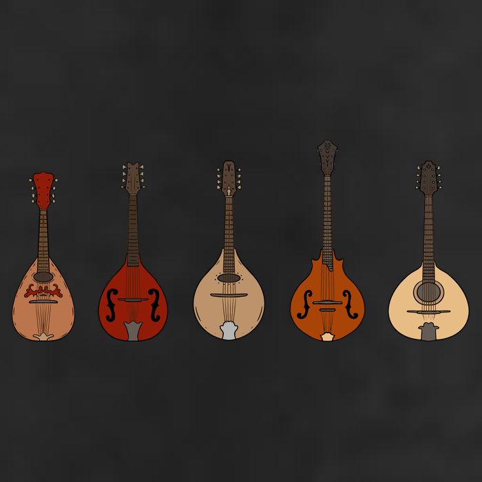 Mandolins In A Row Music Instrument Set Trucker Hat