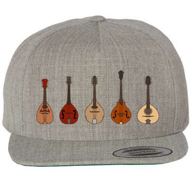 Mandolins In A Row Music Instrument Set Wool Snapback Cap