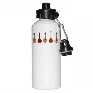 Mandolins In A Row Music Instrument Set Aluminum Water Bottle