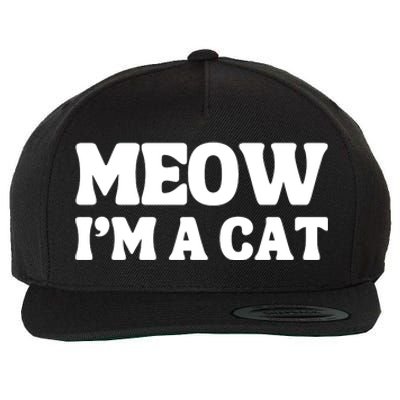 Meow IM A Cat Halloween Costume Funny Saying Cat Wool Snapback Cap